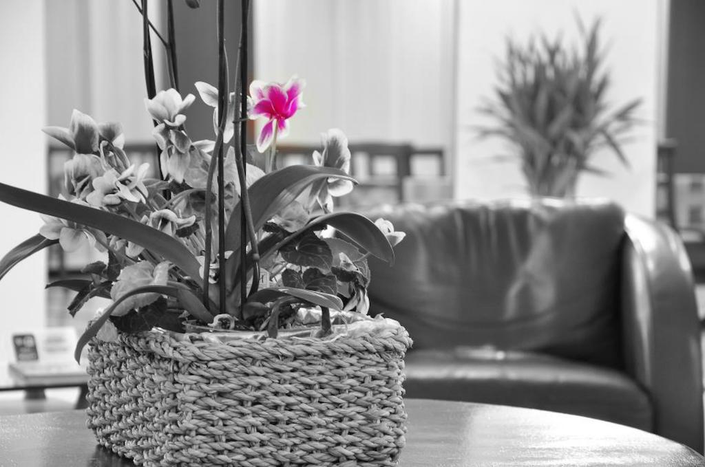 Hotel Glis San Mauro Torinese Esterno foto
